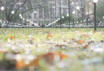 晶能光電點(diǎn)亮美國(guó)紐約麥迪森公園的夢(mèng)幻和浪漫